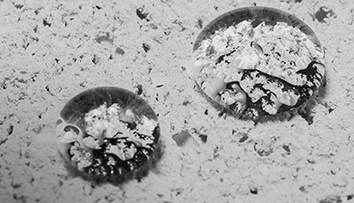 Emcephob HC - Agent hidrofob fara solventi, pe bază de apă